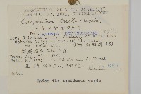 暗花金挖耳藏品圖，第2張