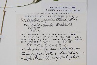 登錄號:S048968藏品圖，第2張