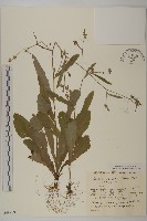 登錄號:S048969藏品圖，第1張