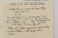 登錄號:S048969藏品圖，第2張