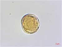 登錄號:S048970藏品圖，第2張