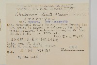 暗花金挖耳藏品圖，第2張