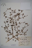 登錄號:S048977藏品圖，第1張