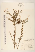 登錄號:S048979藏品圖，第1張