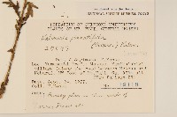 登錄號:S048979藏品圖，第2張