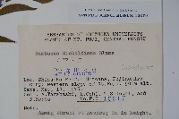 登錄號:S048986藏品圖，第2張