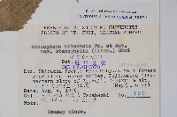 登錄號:S048988藏品圖，第2張