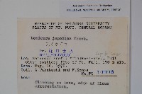 忍冬、金銀花藏品圖，第2張