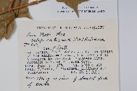 登錄號:S048997藏品圖，第2張