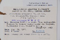 登錄號:S049001藏品圖，第2張