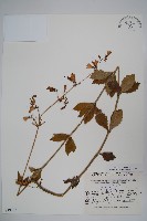 登錄號:S049002藏品圖，第1張