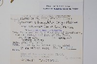 登錄號:S049019藏品圖，第2張