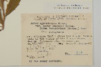 登錄號:S049021藏品圖，第2張