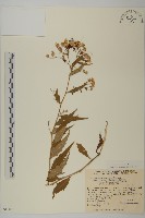 登錄號:S049026藏品圖，第1張