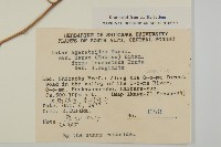 登錄號:S049026藏品圖，第2張