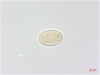 登錄號:S049030藏品圖，第3張