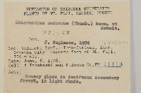 及己藏品圖，第2張