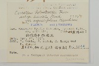 登錄號:S049096藏品圖，第2張