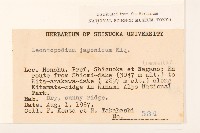 薄雪火絨草藏品圖，第2張