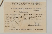 登錄號:S049104藏品圖，第2張