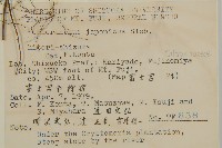 銀線草藏品圖，第2張