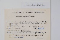 岳樺藏品圖，第2張