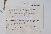 登錄號:S049137藏品圖，第2張