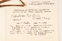 登錄號:S049155藏品圖，第2張