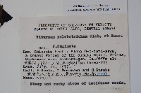 基隆莢迷藏品圖，第2張