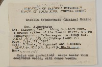 登錄號:S049184藏品圖，第2張