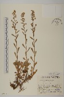 登錄號:S049207藏品圖，第1張