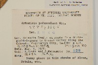 登錄號:S049207藏品圖，第2張