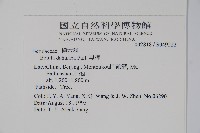 黑樺藏品圖，第2張