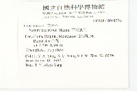 華北景天藏品圖，第2張