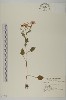 登錄號:S049245藏品圖，第1張