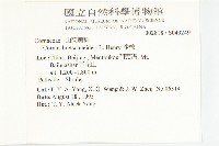 沙棶藏品圖，第2張