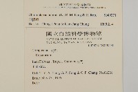 香澤蘭、飛機草藏品圖，第2張