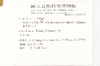 基隆筷子芥藏品圖，第5張