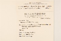 粗毛小米菊藏品圖，第2張