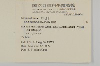 繁縷藏品圖，第2張