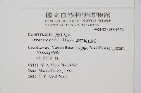 紫花鳳仙花藏品圖，第2張