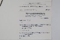 刻脈冬青藏品圖，第2張