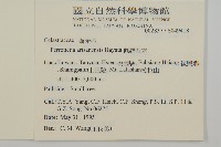 佩羅特木藏品圖，第2張