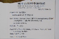 圓果秋海棠藏品圖，第2張