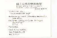 菟絲子藏品圖，第2張