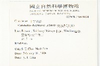 臭濱芥、臭薺藏品圖，第2張