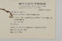 光果南蛇藤藏品圖，第2張