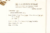 黃菀藏品圖，第2張