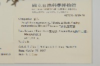 玉山抱莖籟簫藏品圖，第2張