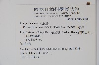 山桔梗藏品圖，第2張